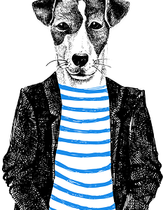 The Barkcode vragenlijst